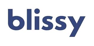 Blissy Silk Pillow Cover